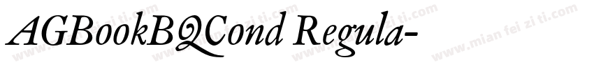 AGBookBQCond Regula字体转换